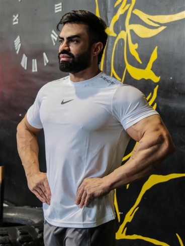 تيشرت مردانه مردانه وارداتي 8029 NIKE